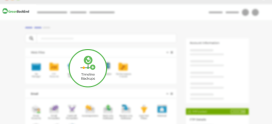 Timeline Backup Pro: Never Lose Your Hosting/Emails Again